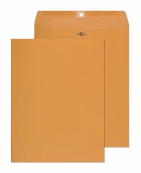 10 x 13 Brown Clasp Envelopes - Free Same Day Shipping-