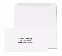 #6 3/4 White Remittance Envelopes Gum Flap